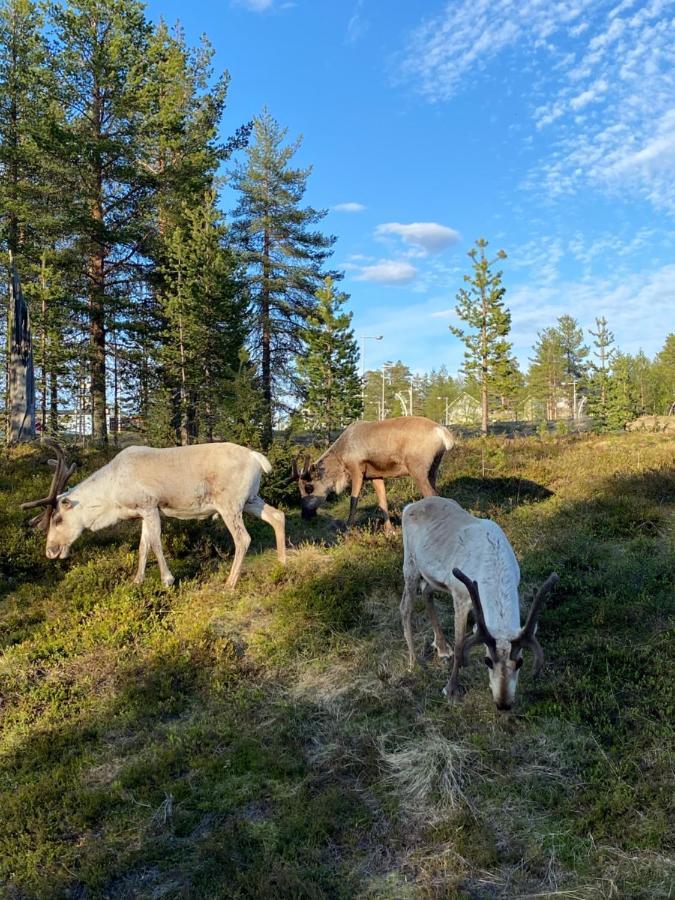Villa Haukka Saariselkä Exterior foto